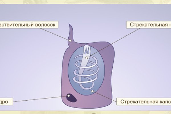 Клир ссылка на blacksprut