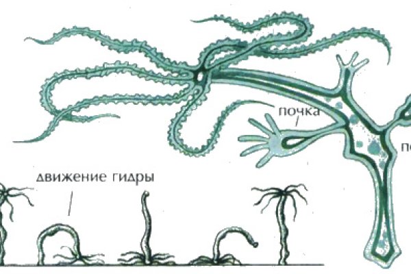 Купить аккаунт blacksprut